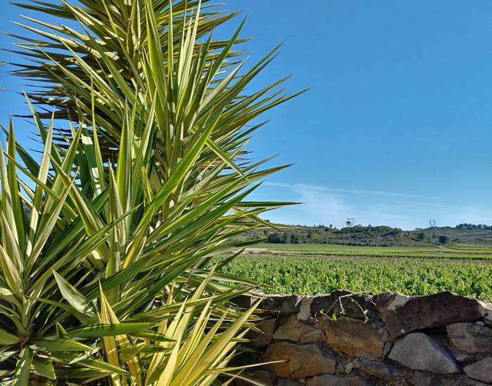 Venez vous détendre au sein de nos chambres d'hôtes et notre gîte