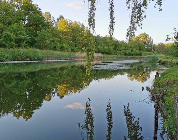 Canal des Ardennes