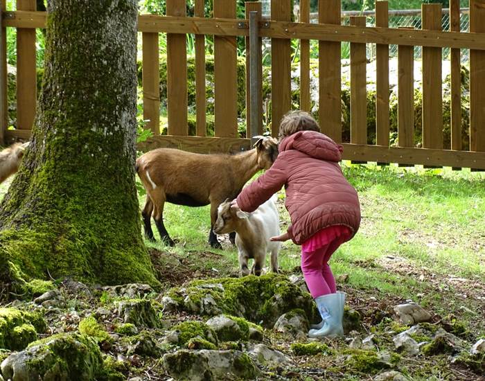 La Ménagerie des Petits