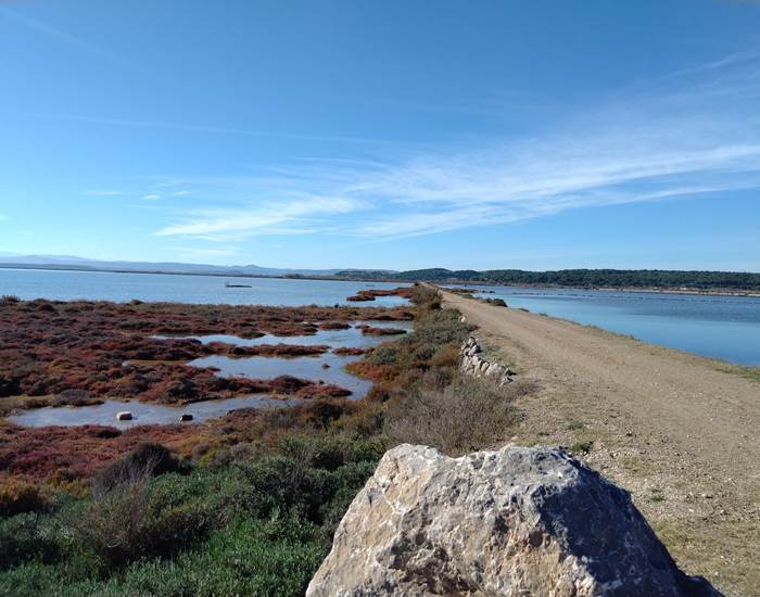 De superbes balades dans la nature