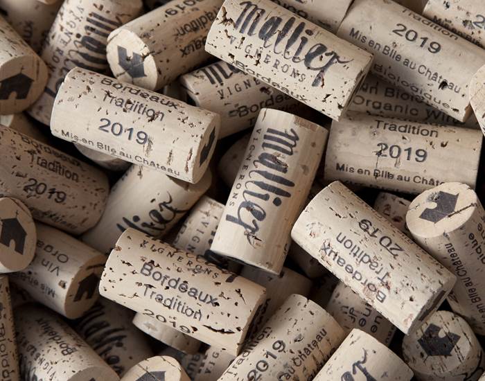 Vignoble, Bio, Biodynamie, Nature, Vins, Domaine, Visite, Dégustation