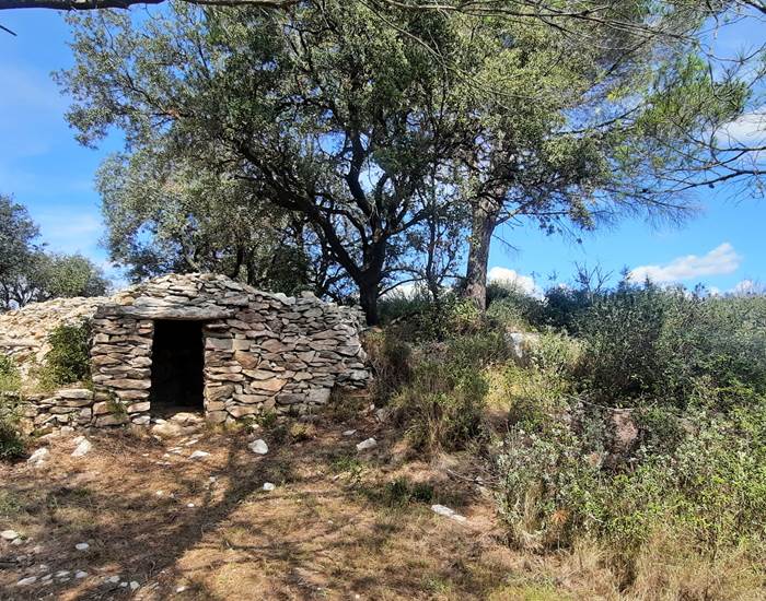 Le dolmen: vestiges de Mailhac