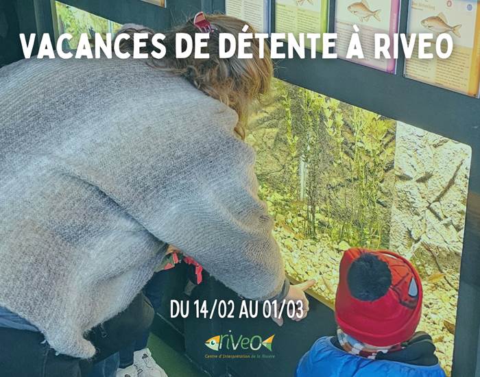 vacances-detente-activite-famille-wallonie