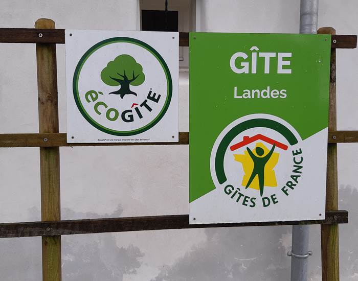 Sans titre