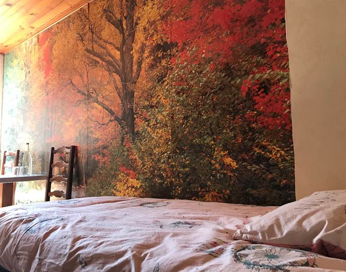 petit lit et petits (h)êtres de la forêt