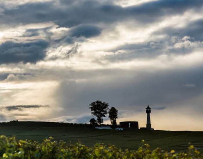 Le Phare de Verzenay-page