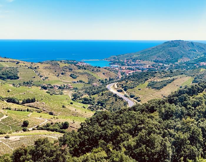Vue sur Collioure