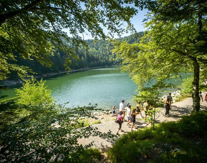Lac des Hautes-Vosges