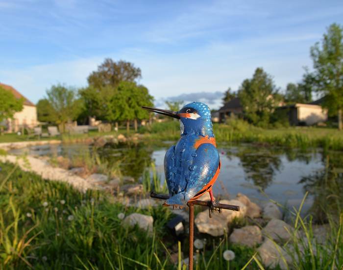 Gite La Mélinothe à Paisy-Cosdon - Aube en Champagne - Vue sur le bassin