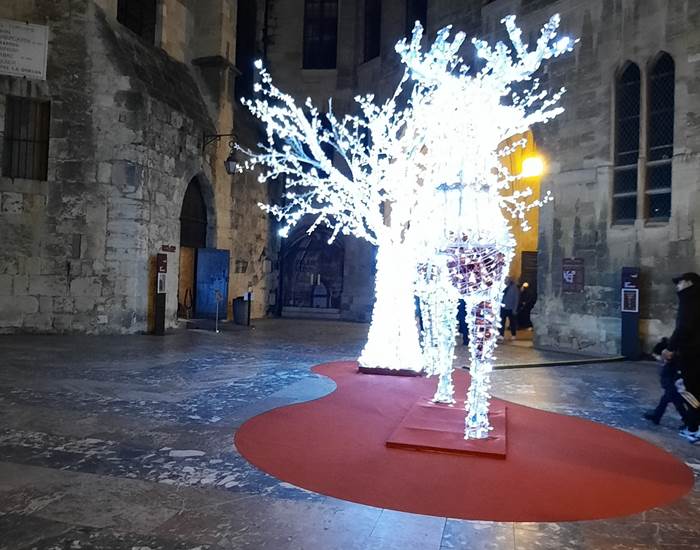 Ambiance de Noël à Narbonne