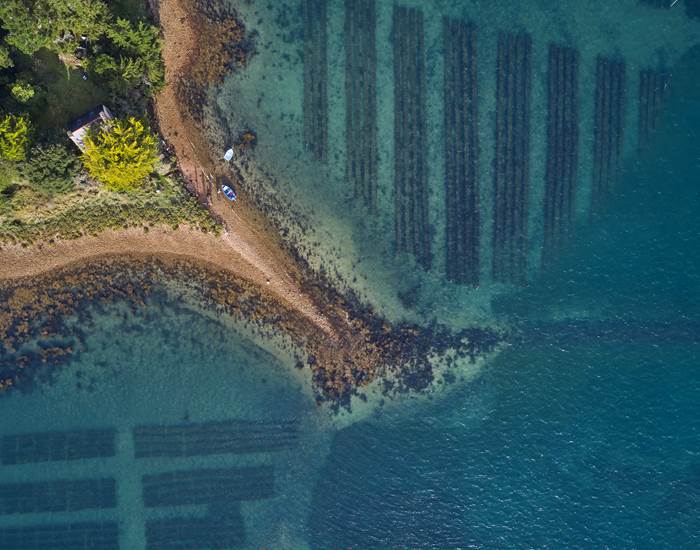 Île Creïzic