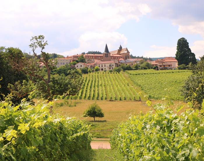 Le Vignoble de la Côte de Roannaise, Ambierle