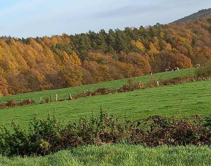 Vue de la route du Maquisard