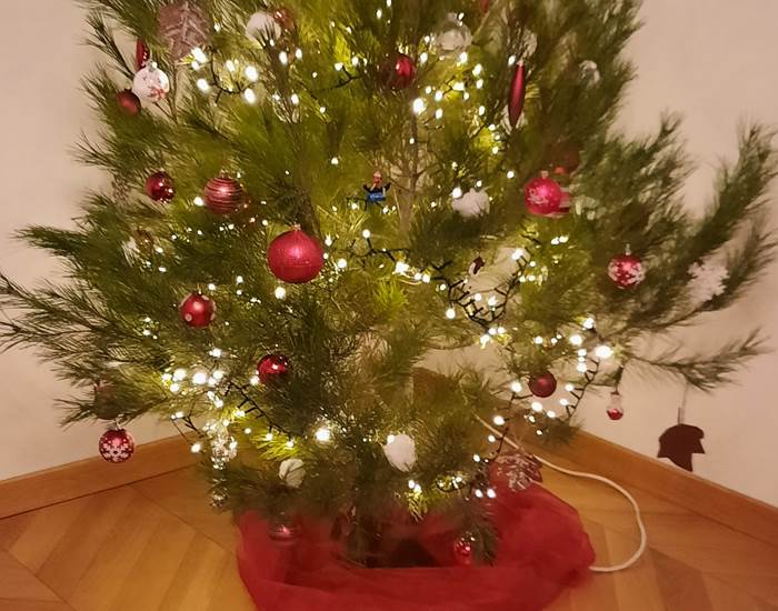 Les fêtes de fin d'année à Le Coq du Nord-Mailhac