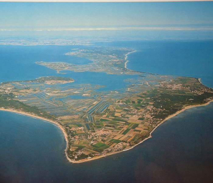 Ile de Ré