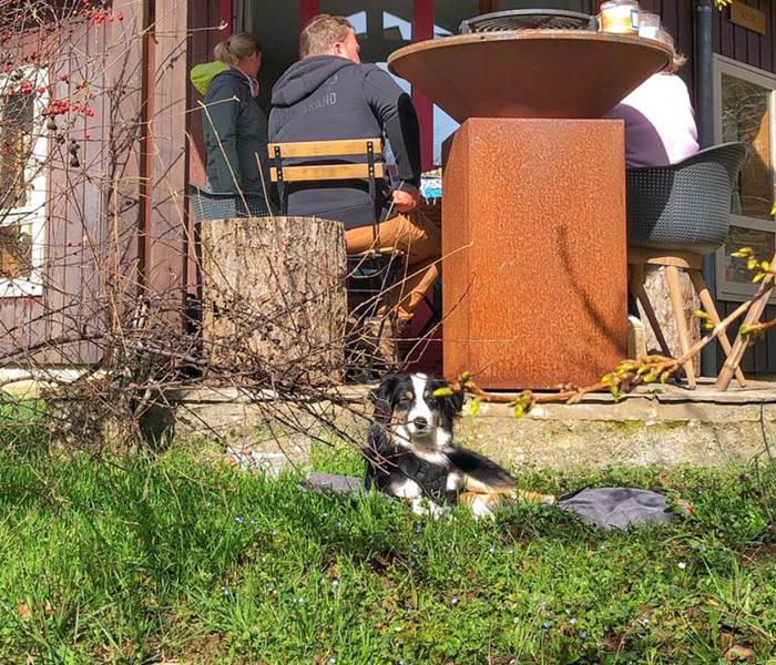 Vacances avec son chien