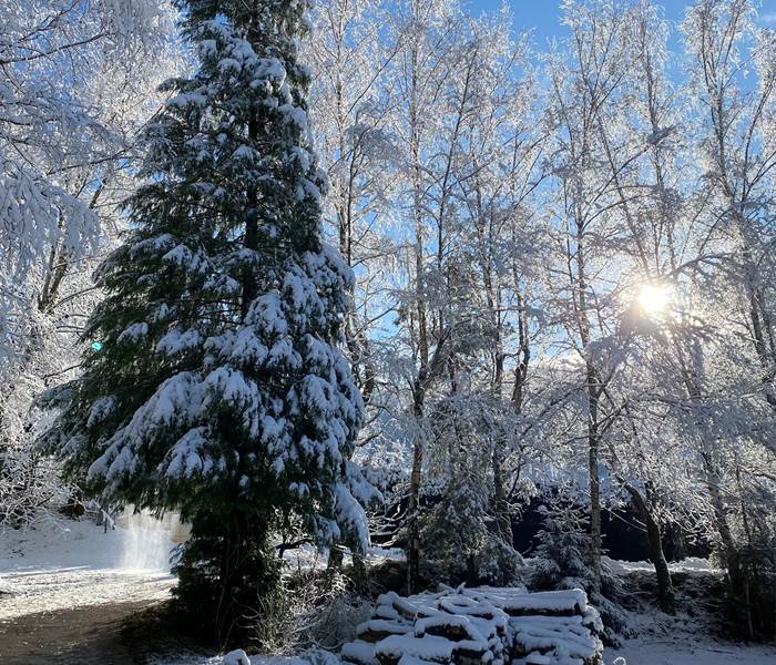 Domaine du Hygge Chalets Lodges & Spa
