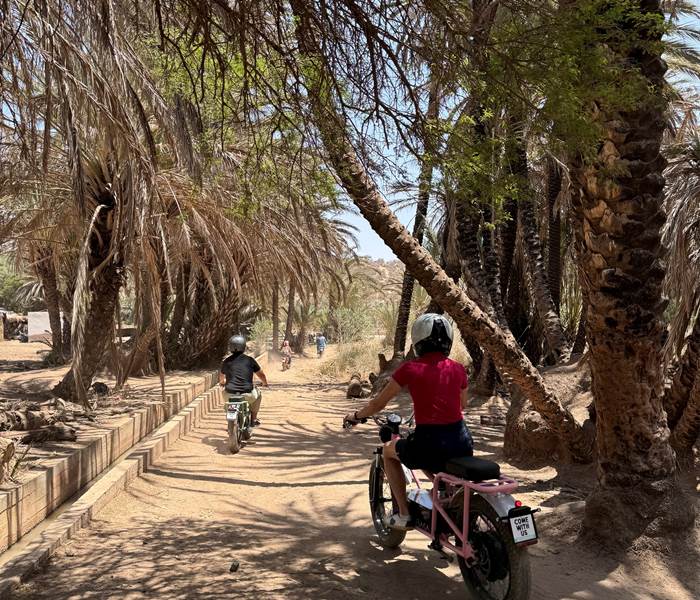 guided tours essaouira