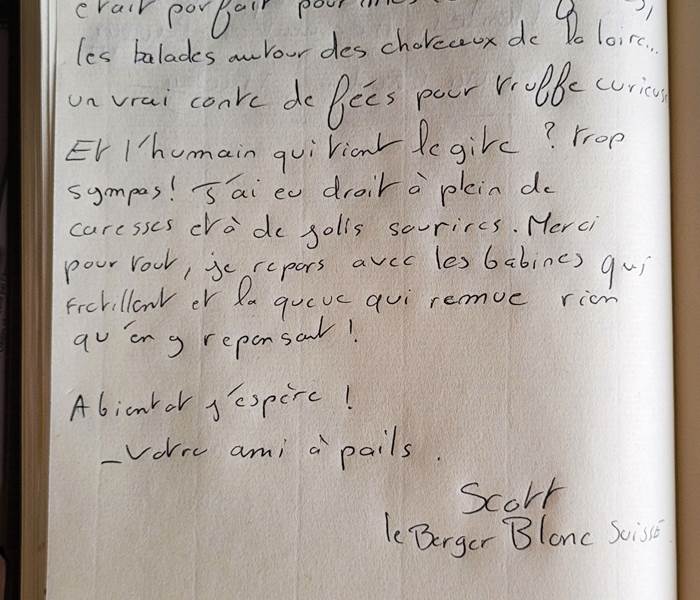 Sans titre