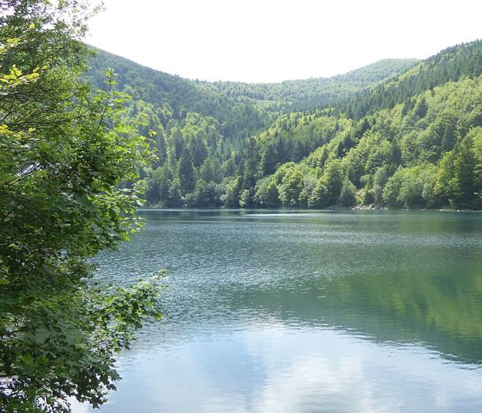 Lac des Vosges