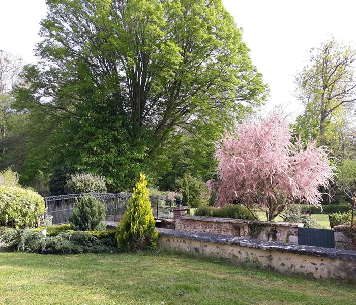 Détail jardin du Clos au printemps!
