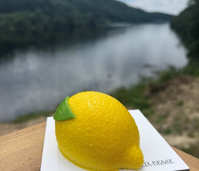 Le citron - Maison Borzeix Besse