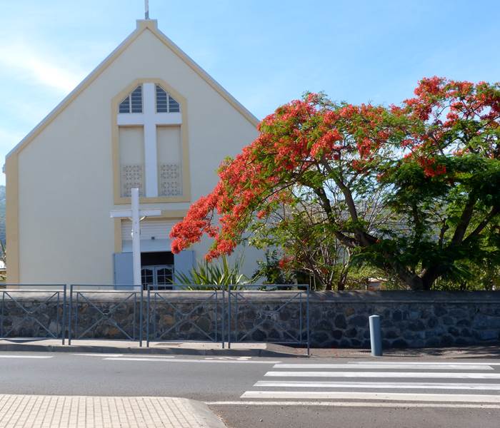 L'Orée du Maïdo - emblème de la Réunion (le Flamboyant)