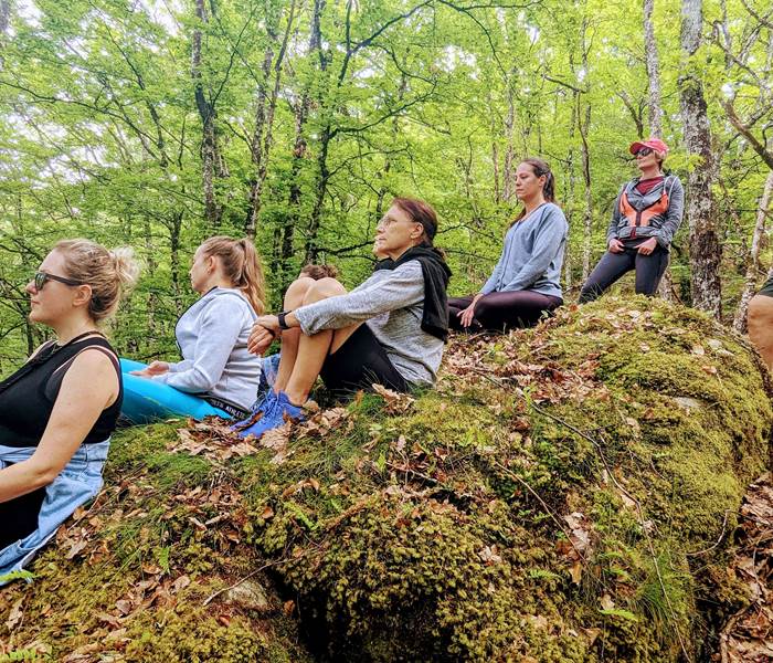 Se relier à la forêt