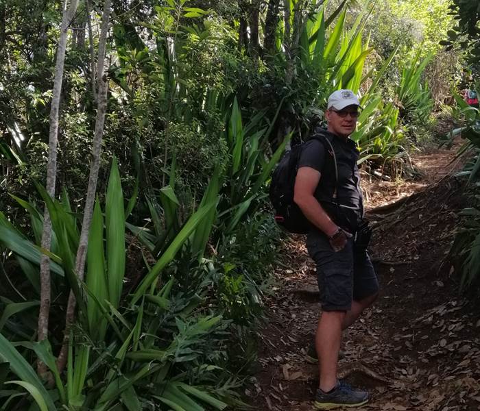 Dans la forêt d'Etang Salé