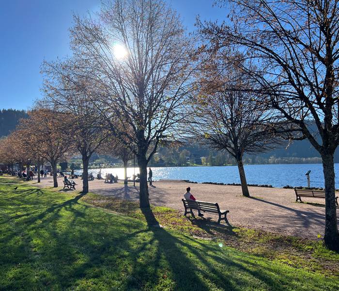 Lac de Gérardmer, Vosges
