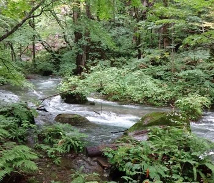 Les Gorges de la Bouble