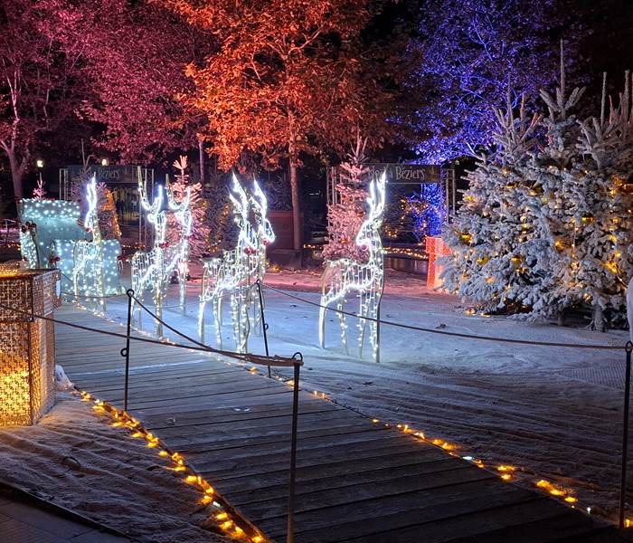 Décorations lumineuses de Noël à Béziers avec rennes et sapins illuminés