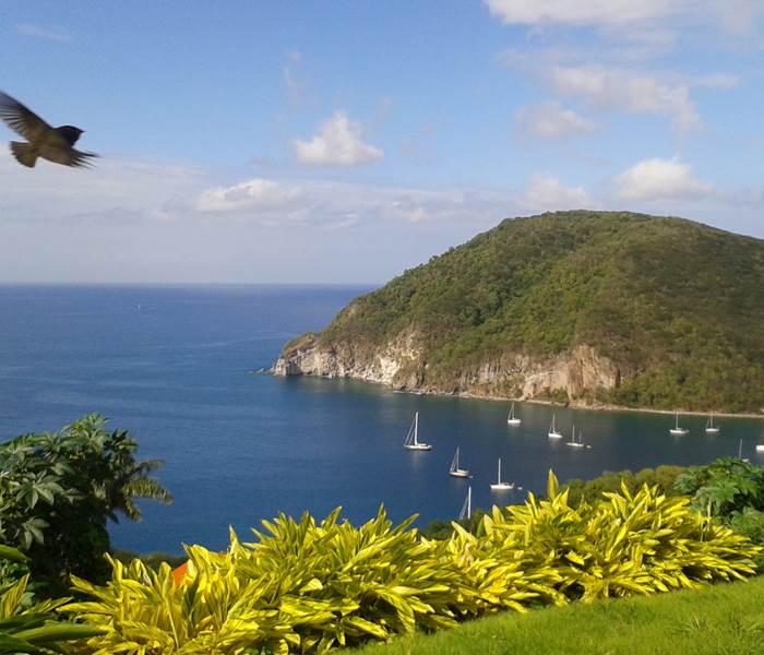 Baie de Deshaies