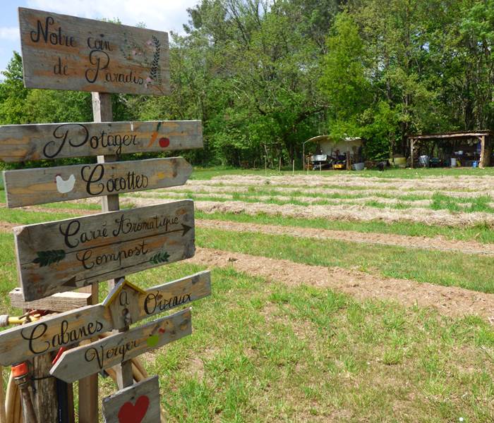 Notre potager