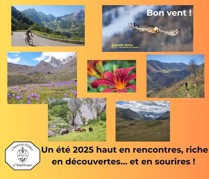 Retour sur l'été 2025