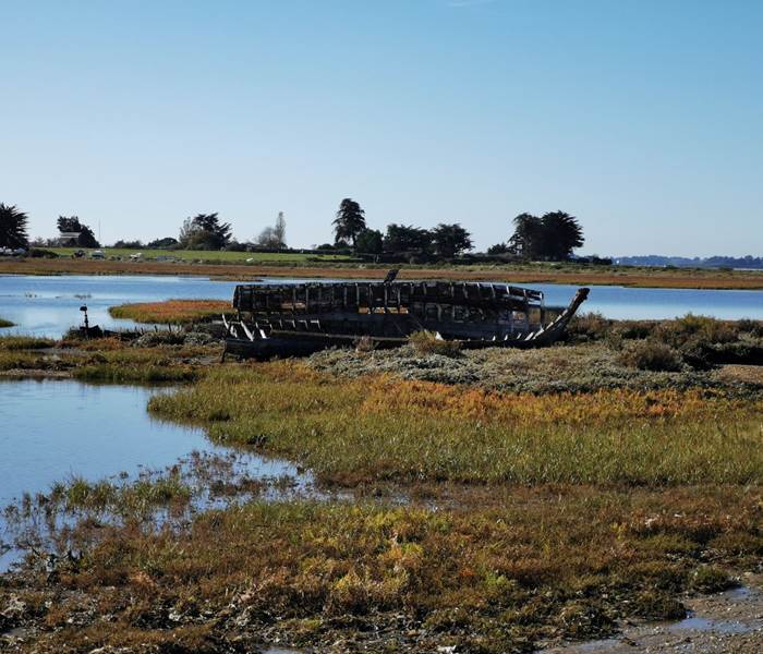 marais ile d'arz cimetière bateau morbihan bretagne maison d'hôtes bien être séjour repos ressourcement détente anti stress cure ayurvédique spa