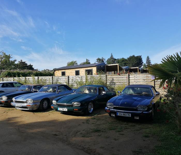 Jaguar XJS Passion