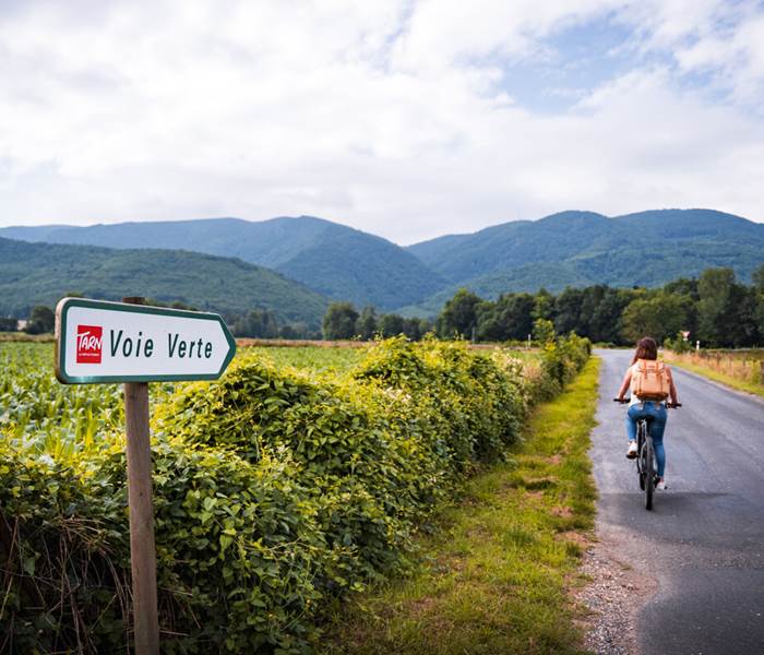 Voie verte Tarn - 16 Bis gite hotel Marssac