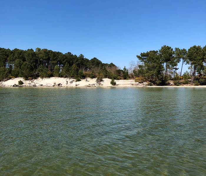 Put Blanc lac Sanguinet