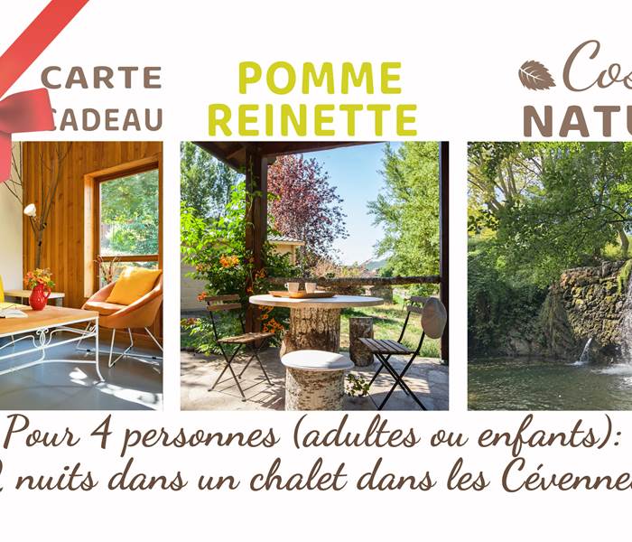carte-cadeau-POMME