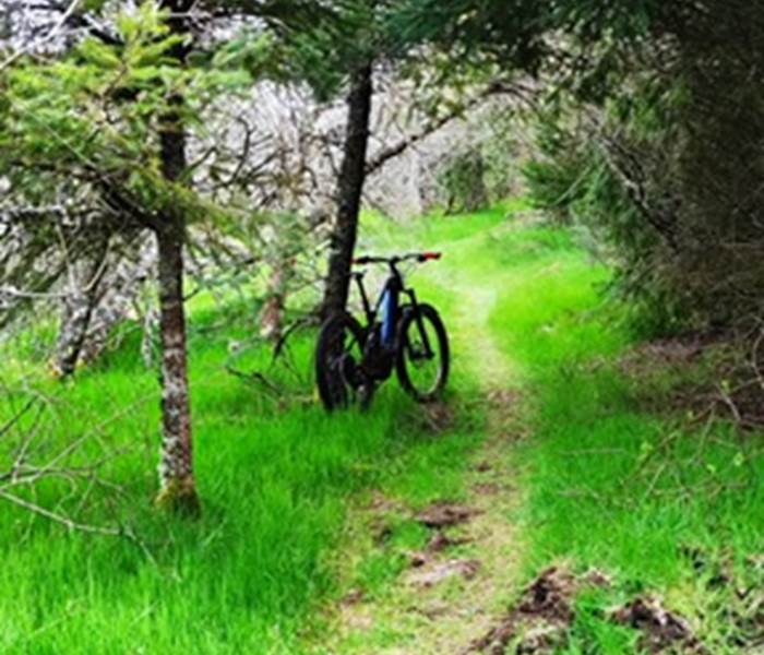 parcoursdesanté-àpieds-envtt-àcheval-forêt-campagne-hautecorreze-destinationsecrète