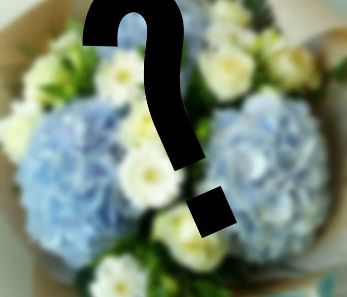 Bulle de Fleurs- Bouquet surprise =  30€