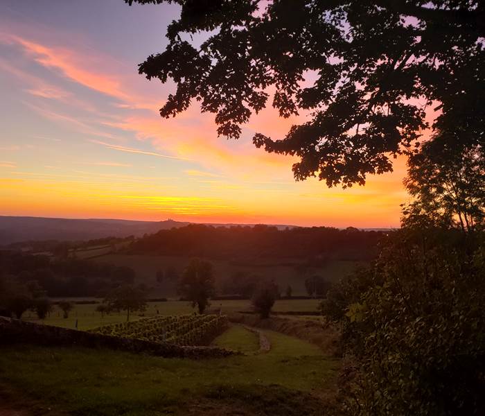 Vue sur Vézelay