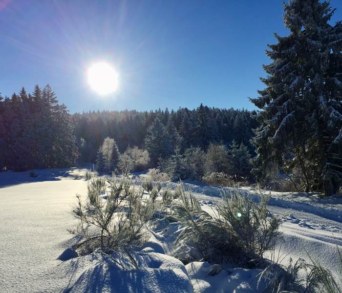 Montagne enneigée, Vosges