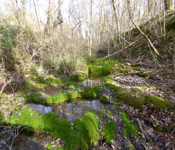 petit cours d'eau sur la boucle Avitus