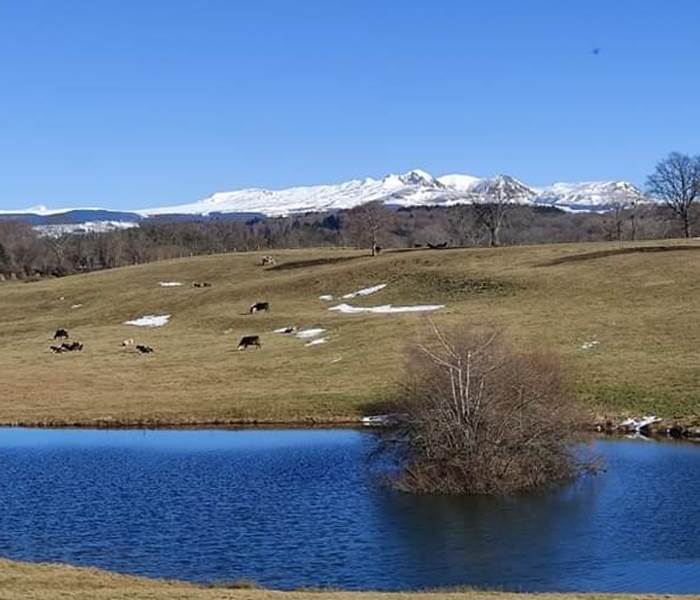 chambredhotes-plein-air-vues-sancy-puy-de-dôme