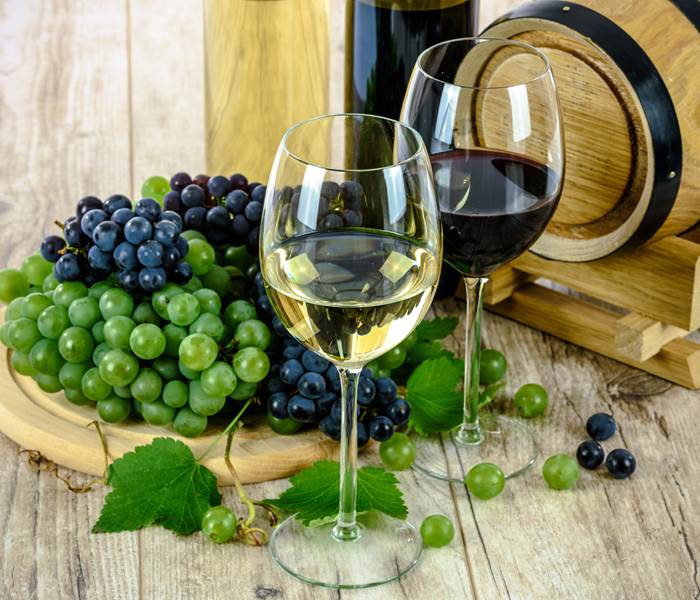 Vins & Œnologie en Languedoc