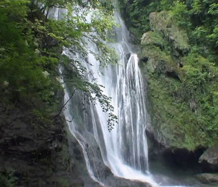 32f976e9-8eb7-4878-87f9-1a9112980146