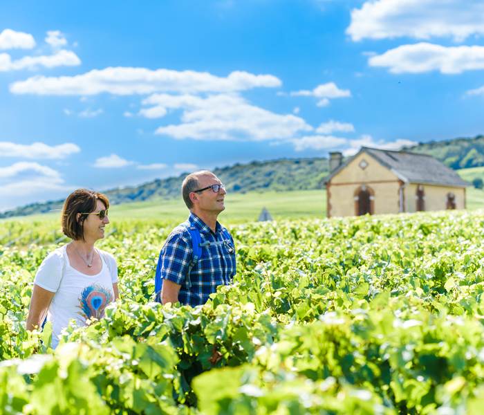 Prendre l'air dans le vignoble champenois