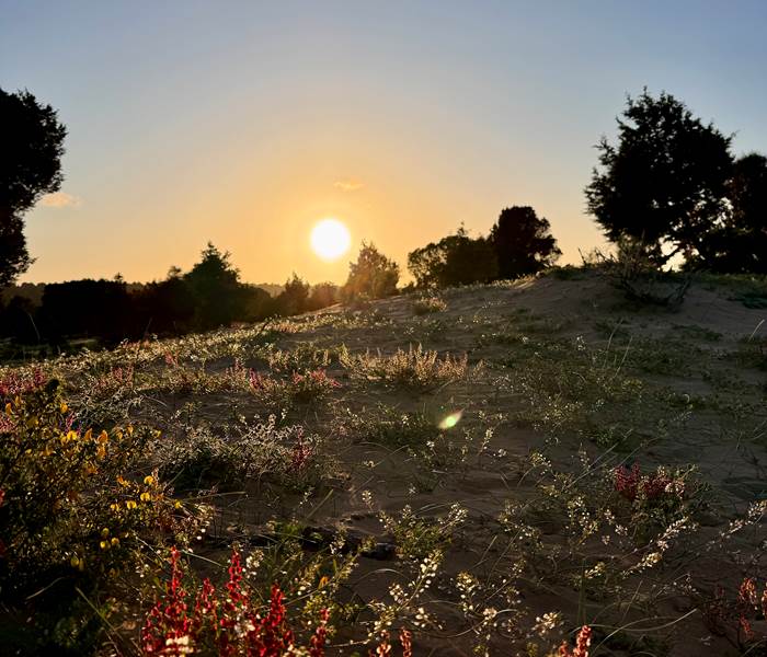 nature walks essaouira